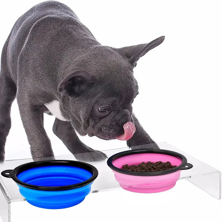 Collapsible Travel Bowl