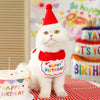 Happy Birthday PAWbibi Set