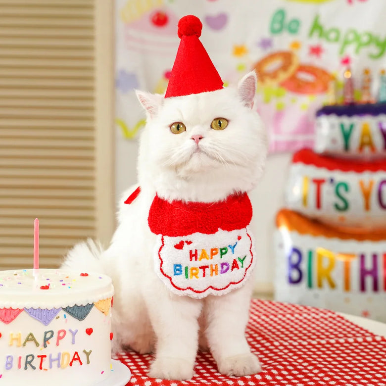 Happy Birthday PAWbibi Set