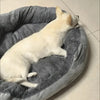 Cloud Nine Calming Sofa Bed