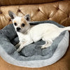 Cloud Nine Calming Sofa Bed