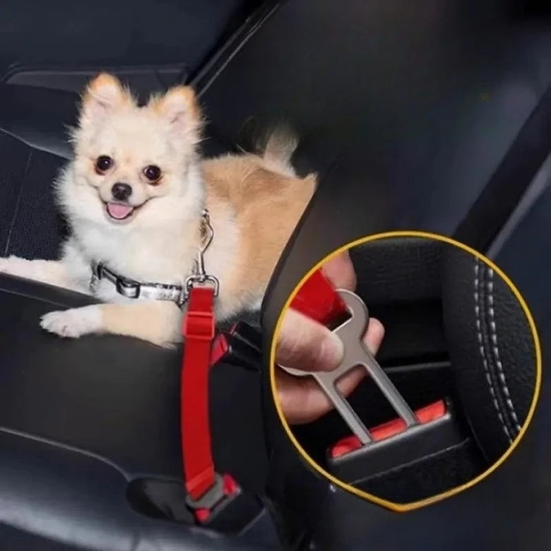 Universal Pet's Seat Belt (4-Pack)