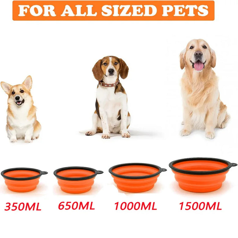 Collapsible Travel Bowl