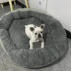 Cloud Nine Calming Sofa Bed