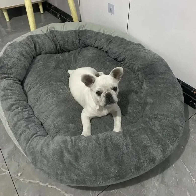 Cloud Nine Calming Sofa Bed