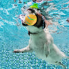 Practical-Interactive Dog Toys Smart Electric Pet Automatic Rolling Ball Cat Dog For Puppies/Small To Medium Dog With Remote