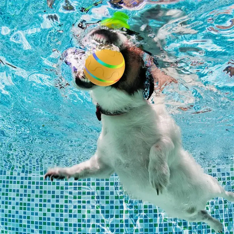 Practical-Interactive Dog Toys Smart Electric Pet Automatic Rolling Ball Cat Dog For Puppies/Small To Medium Dog With Remote