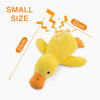 Interactive Buddy Feeder