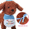 Happy Birthday PAWbibi Set