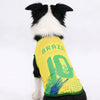 International Soccer Team Pet Jersey