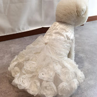 Roupa de Luxo para Cães de Casamento