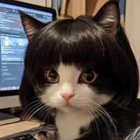 Viral pet Wig