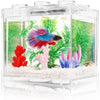 Mini Thai Betta Tank