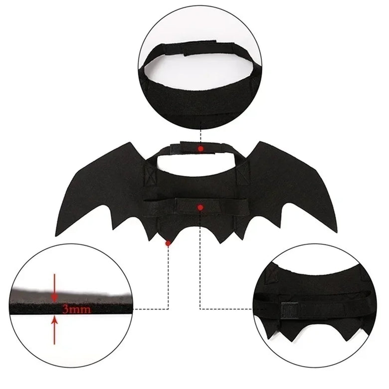 Bat Wings Pet Costume