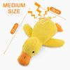 Interactive Buddy Feeder