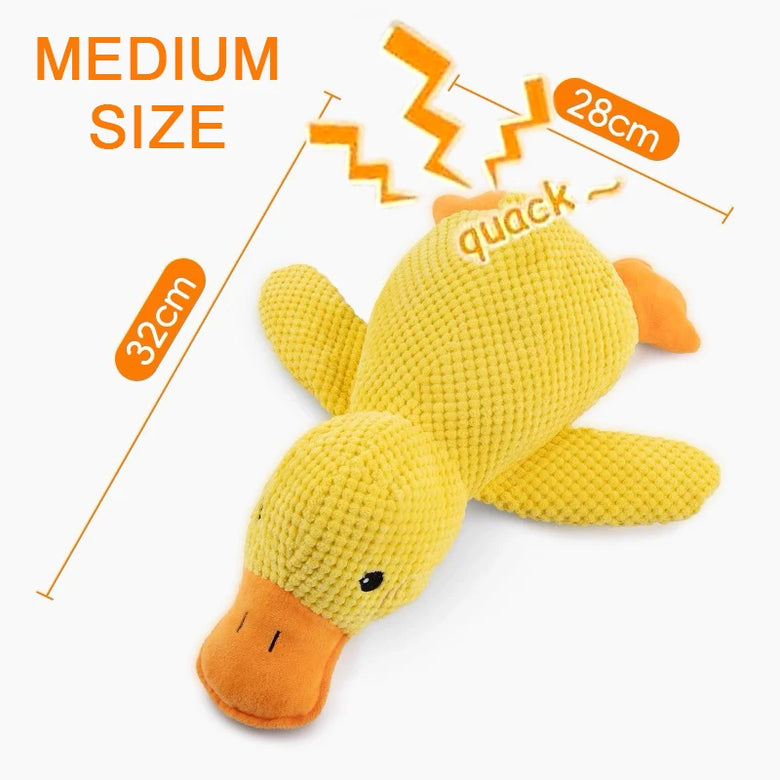 Interactive Buddy Feeder