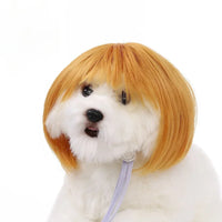 Viral pet Wig