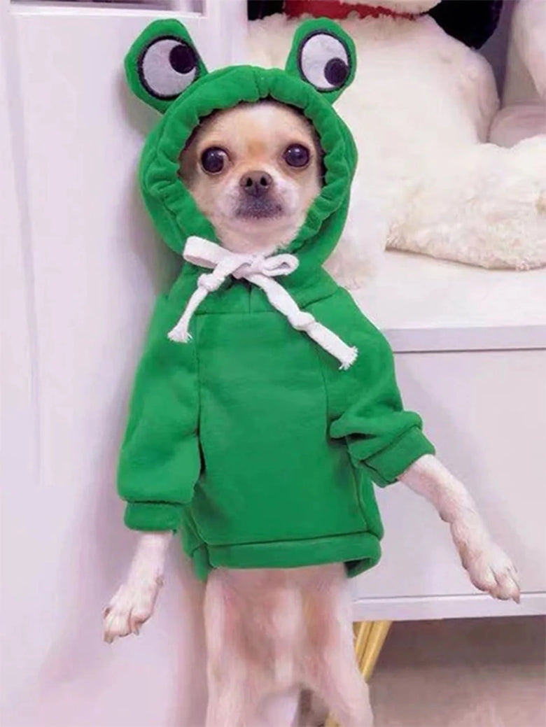 The Hoppy Paws Frog Hoodie
