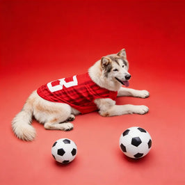 Pro-Performance Quick-Dry Pet Jersey
