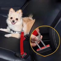 Universal Pet's Seat Belt (4-Pack)
