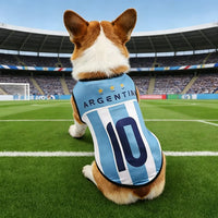 International Soccer Team Pet Jersey