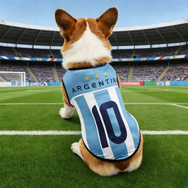 International Soccer Team Pet Jersey