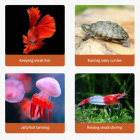 Aquário Mini Betta Tailandês