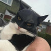 "Batcat"  Halloween 3D Cosplay