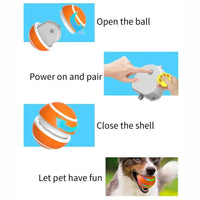 Dog's Ball