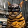 "Batcat"  Halloween 3D Cosplay