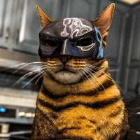 "Batcat"  Halloween 3D Cosplay
