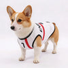 International Soccer Team Pet Jersey