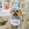Happy Birthday PAWbibi  Set