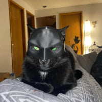 "Batcat"  Halloween 3D Cosplay