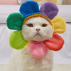 Pets Hope of sunshine