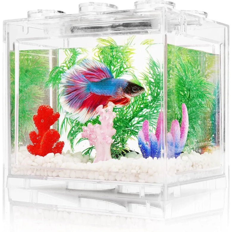 Mini Thai Betta Tank