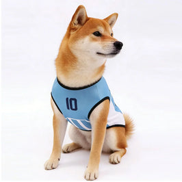 International Soccer Team Pet Jersey