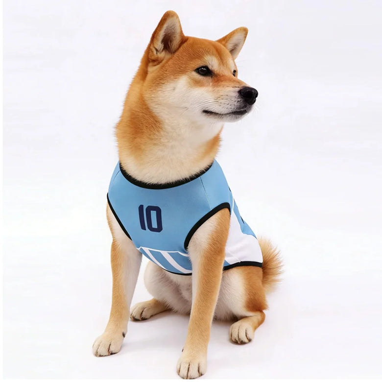 International Soccer Team Pet Jersey
