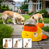 Interactive Buddy Feeder