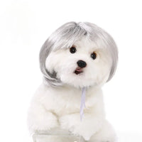 Viral pet Wig
