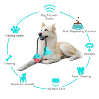 Heavy-Duty Suction Chew Toy