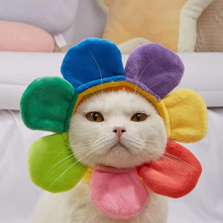 Pets Hope of sunshine