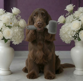 Grooming Brush