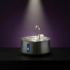 Stainless Oasis